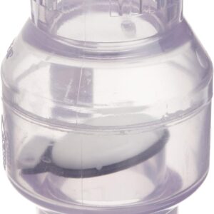 CHECK VALVE – 2 ” SPRING