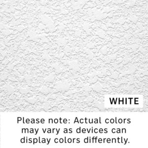 COLOR SEALER-WHITE 1 GAL