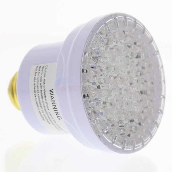 LED BULB (POOL LIGHT)